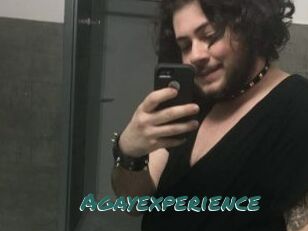 Agayexperience