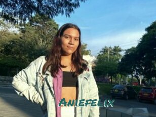 Aniefelix