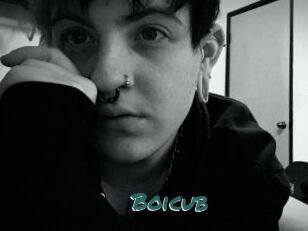 Boicub