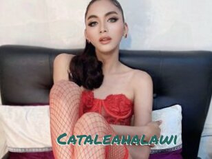 Cataleahalawi