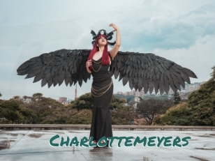 charlottemeyers Transex Blog