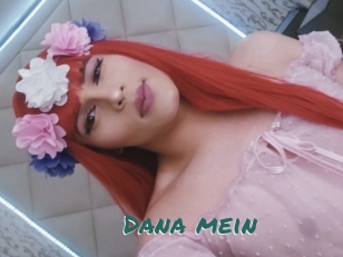 Dana_mein