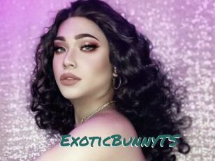 ExoticBunnyTS