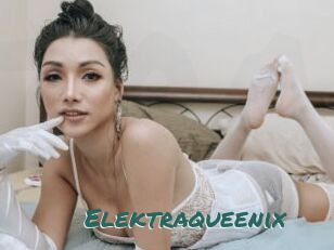 elektraqueenix Transex Blog