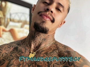 Ftmandrepussyboy