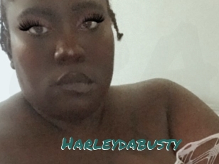 Harleydabusty
