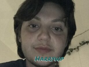 Harrywp