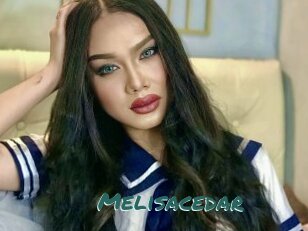 Melisacedar