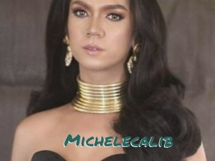 Michelecalib
