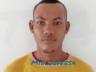Mieldefresa