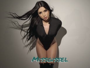 Missgissel