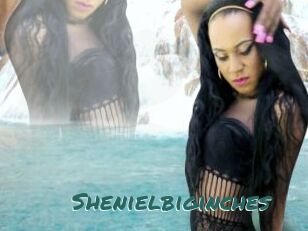 Shenielbiginches