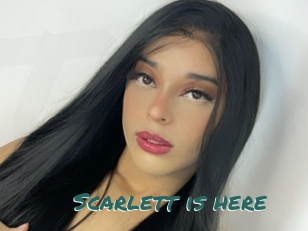 Scarlett_is_here