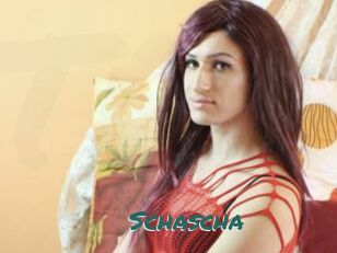 Schascha