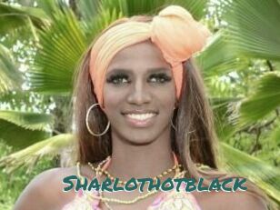 Sharlothotblack