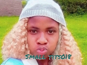 Small_tits018