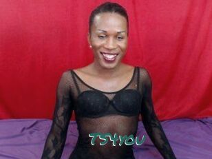 TS4you