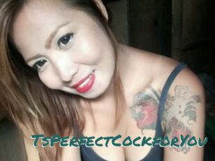 TsPerfectCockforYou Transex Blog