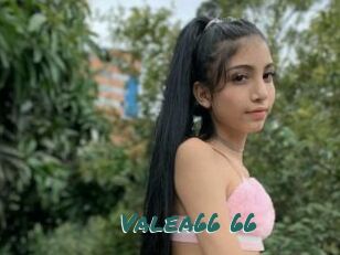 Valea66_66