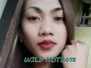 WILD_HOTrose