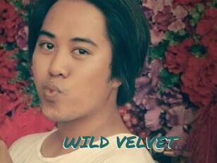 WILD_VELVET