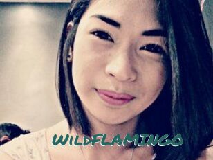 WildFLAMINGO